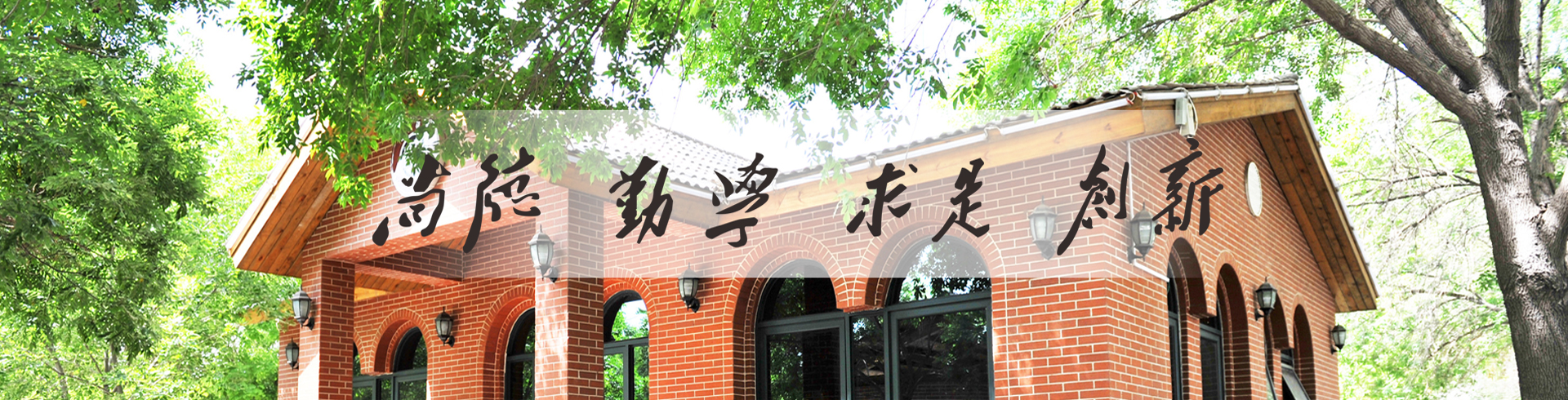 足球博彩app